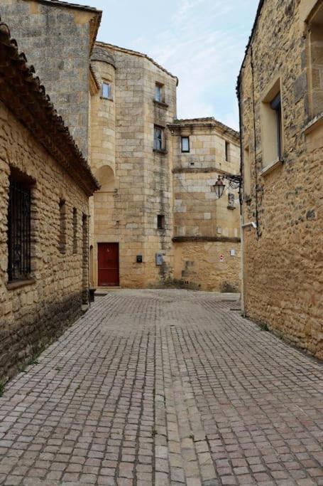 Entre Uzes Et Le Pont-Du-Gard Le Logis D'Autrefois Apartamento Castillon-du-Gard Exterior foto