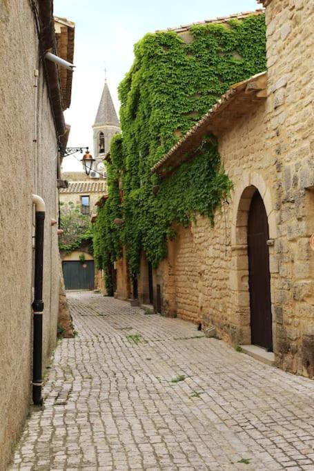 Entre Uzes Et Le Pont-Du-Gard Le Logis D'Autrefois Apartamento Castillon-du-Gard Exterior foto